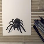 Spinne (Fineliner, Copics)