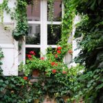 Fenster auf Kreta, Griechenland
