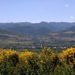 Die gleiche Landschaft mit einem bunten Busch im Vordergrund