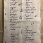 Einkaufsliste Weihnachten 2017 in Kurrent